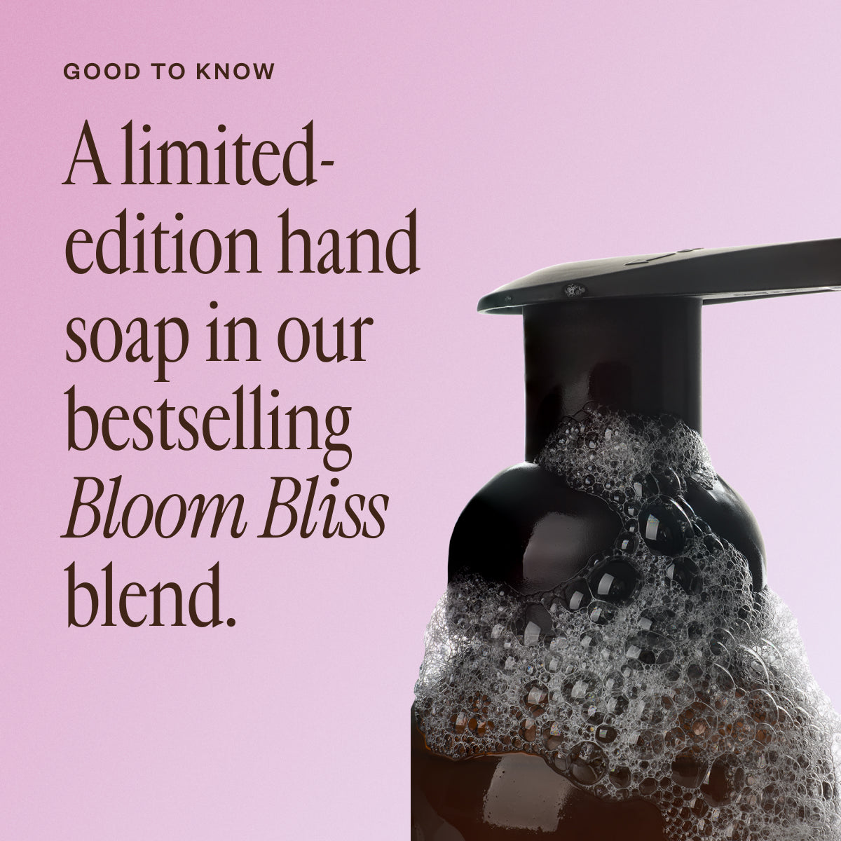 Bloom Bliss