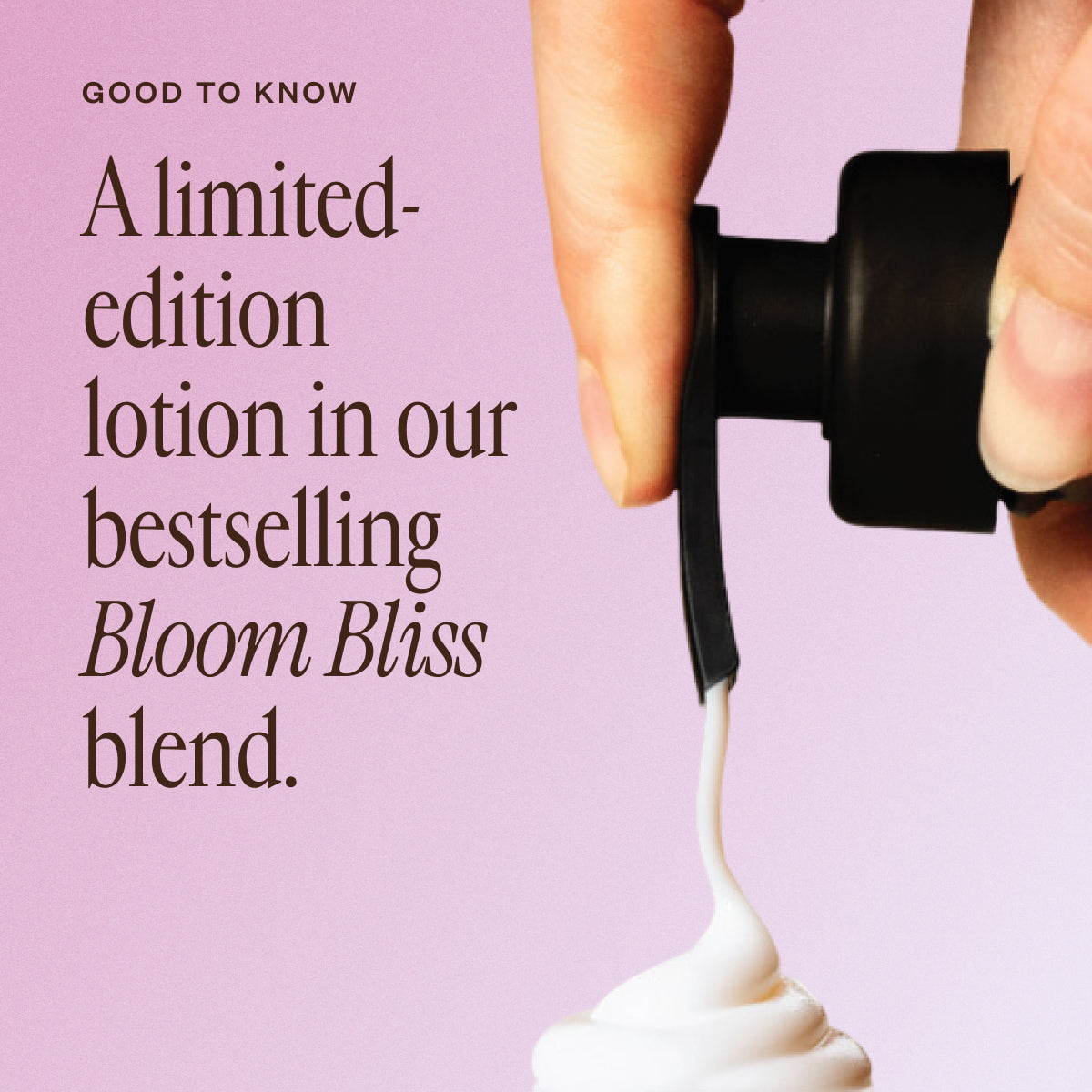 Bloom Bliss