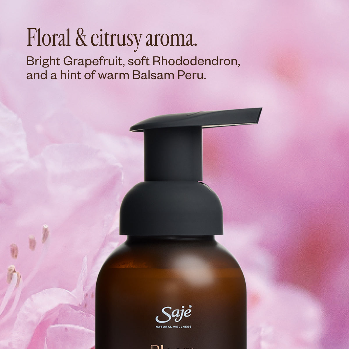 Bloom Bliss