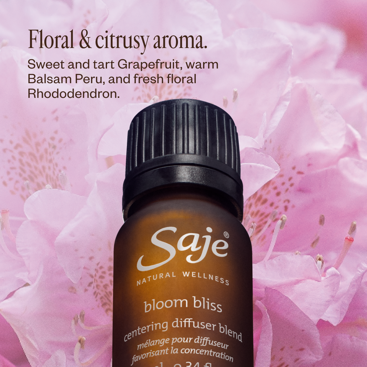 Made for You: Feel the Love Trio