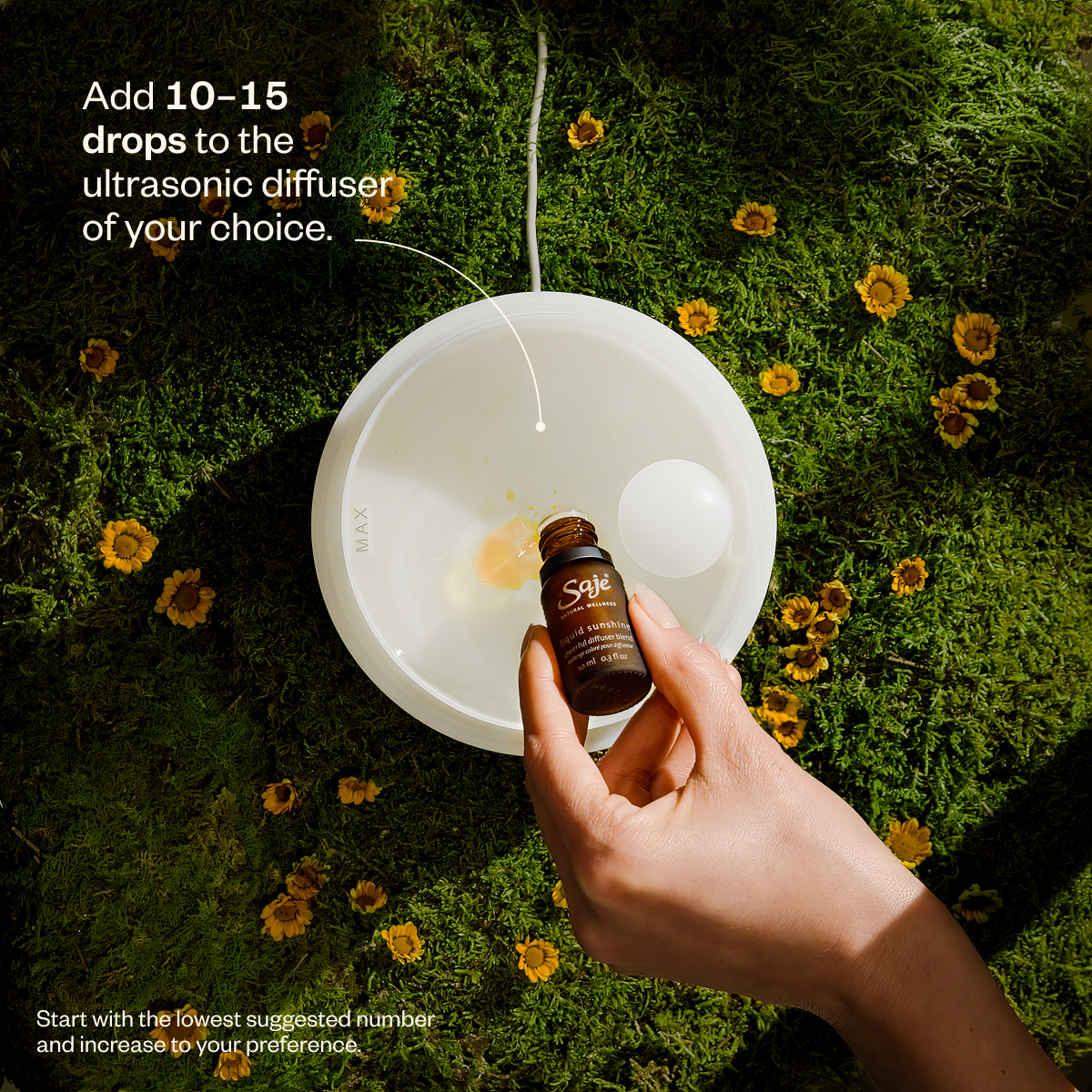 Made for You: Feel the Love Trio