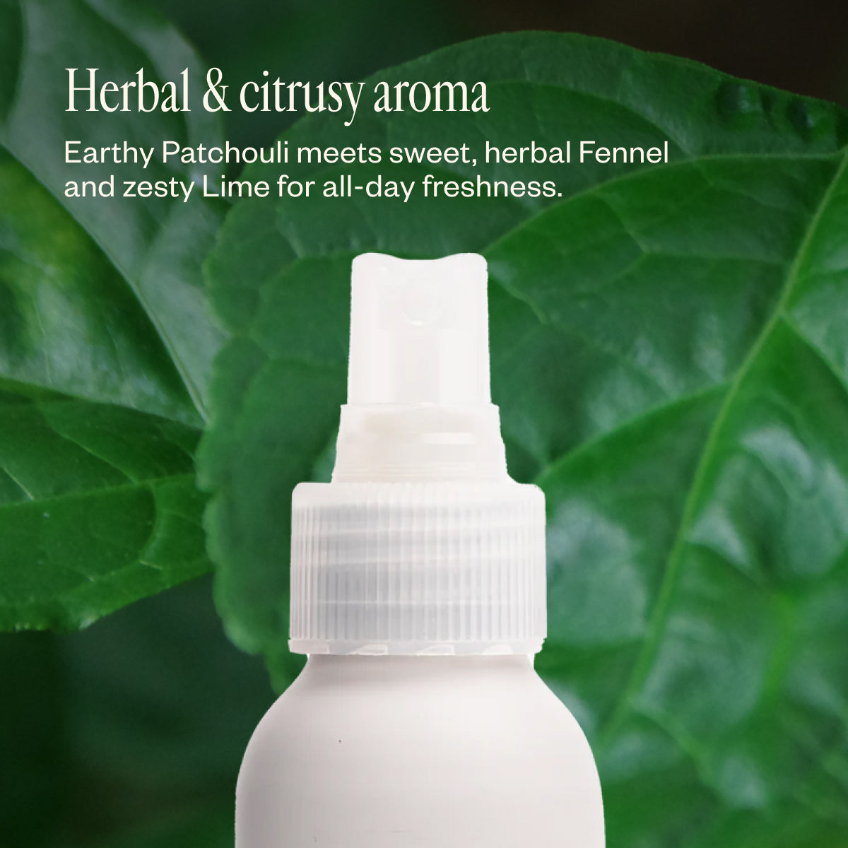 Natural Deodorant Trio