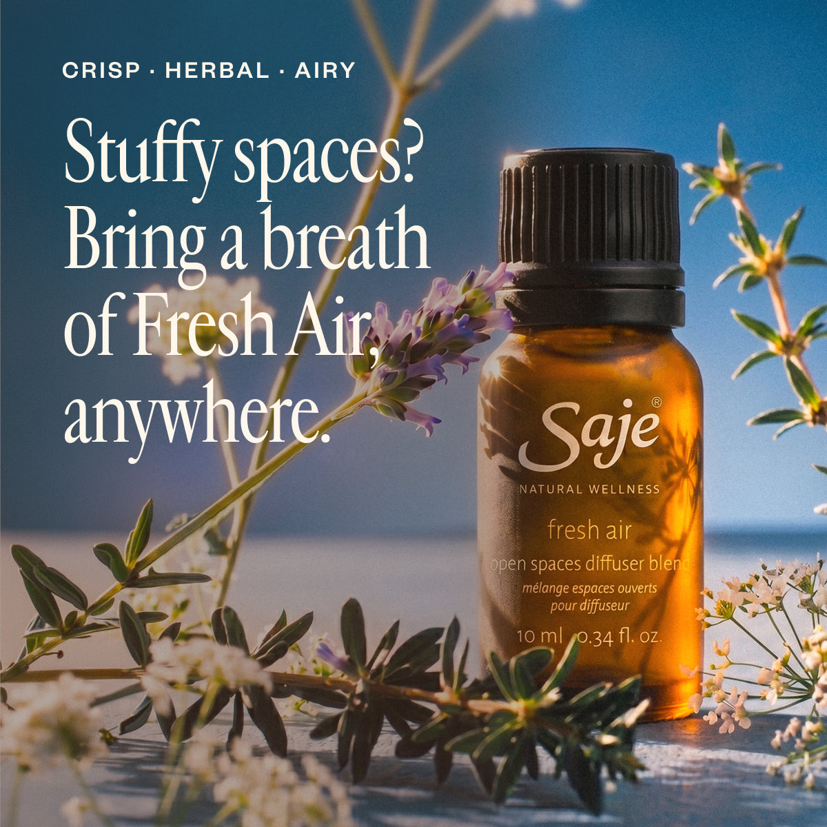 Fresh Air Open Spaces Diffuser Blend - Saje Natural Wellness