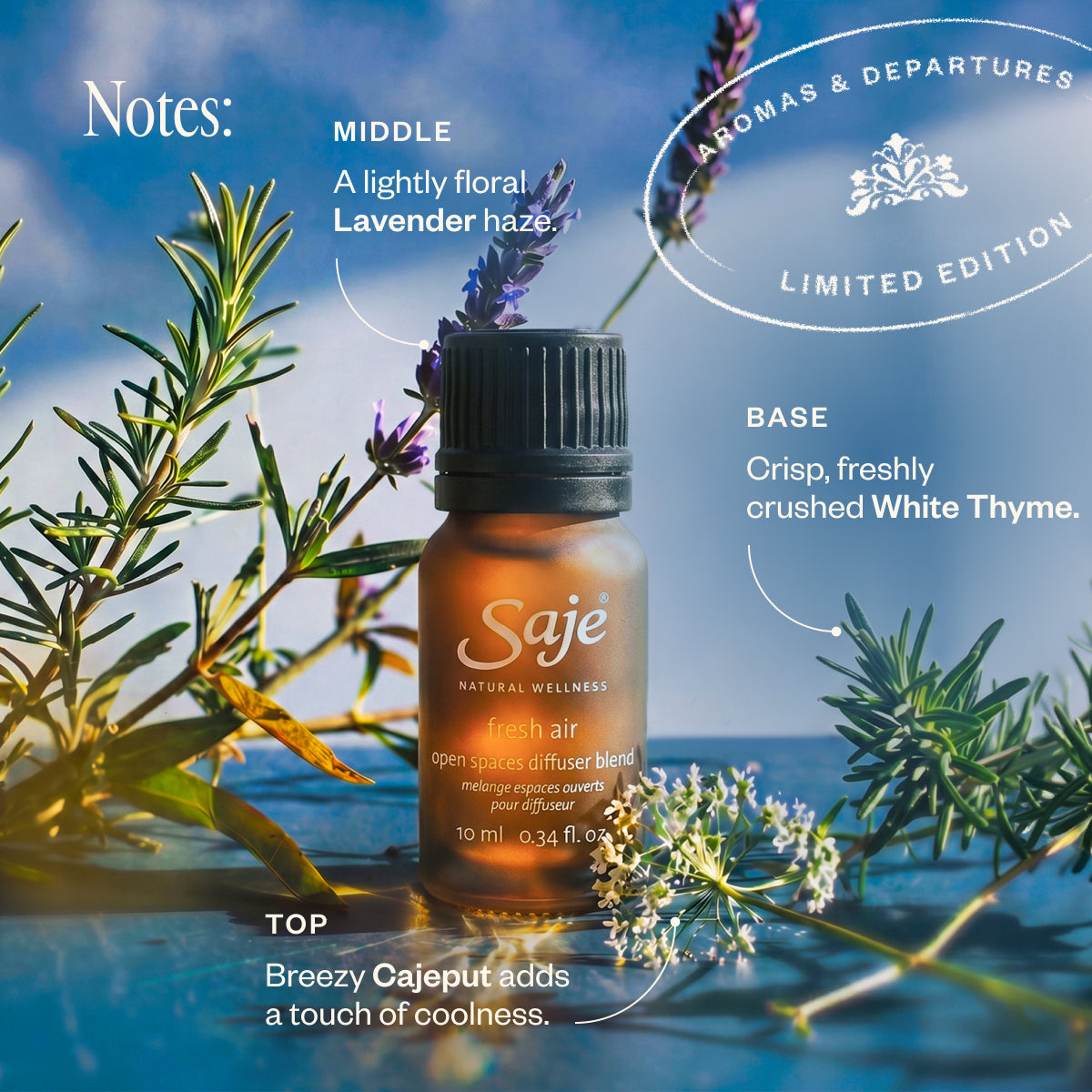 Fresh Air Open Spaces Diffuser Blend - Saje Natural Wellness