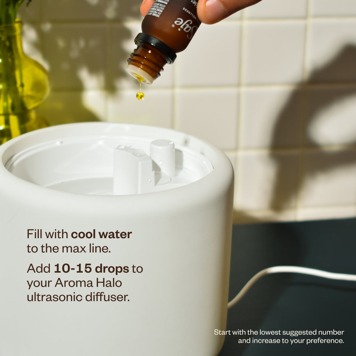 Aroma Halo & Liquid Sunshine