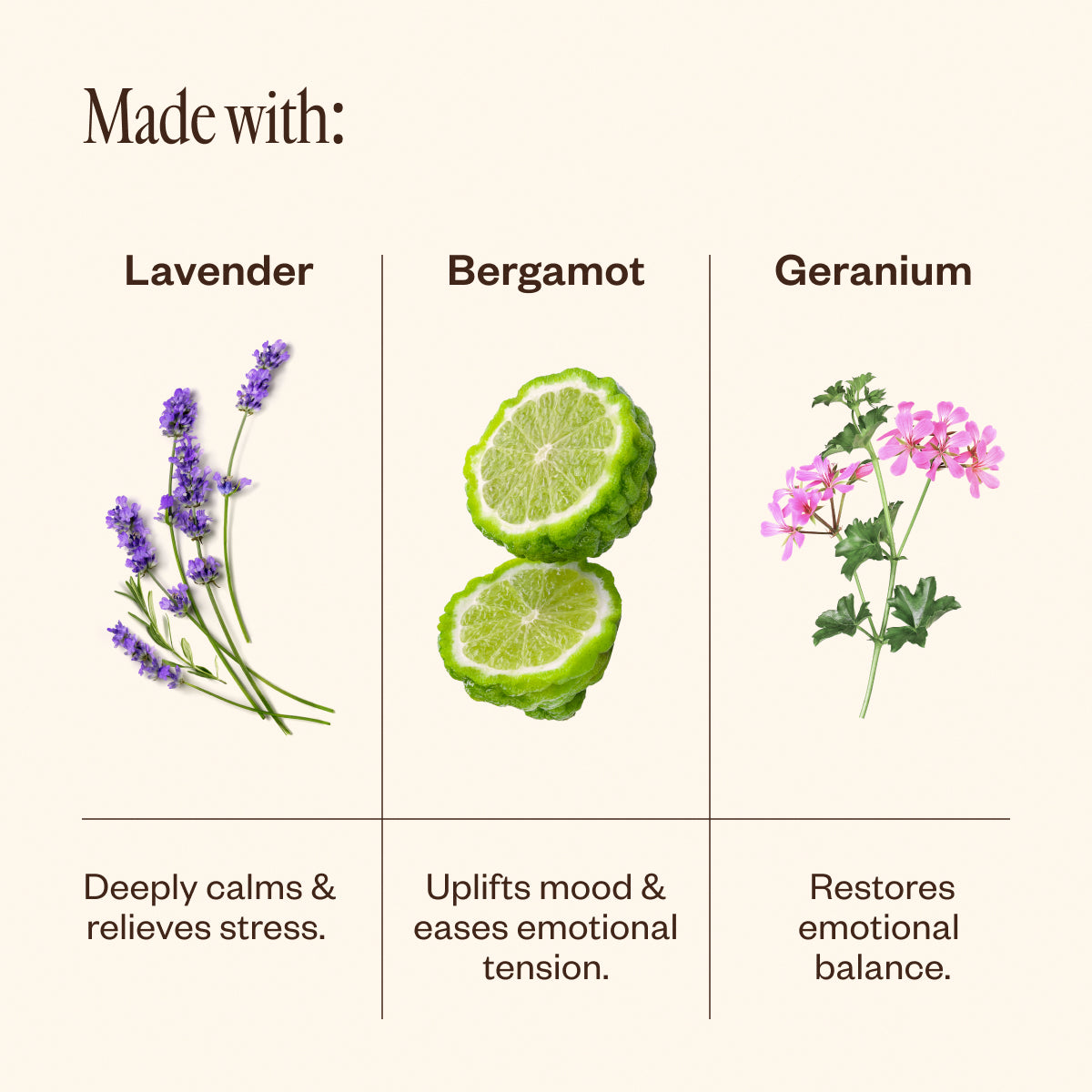 Aroma Halo & Unwind Harmonizing Diffuser Bundle - Saje Natural
