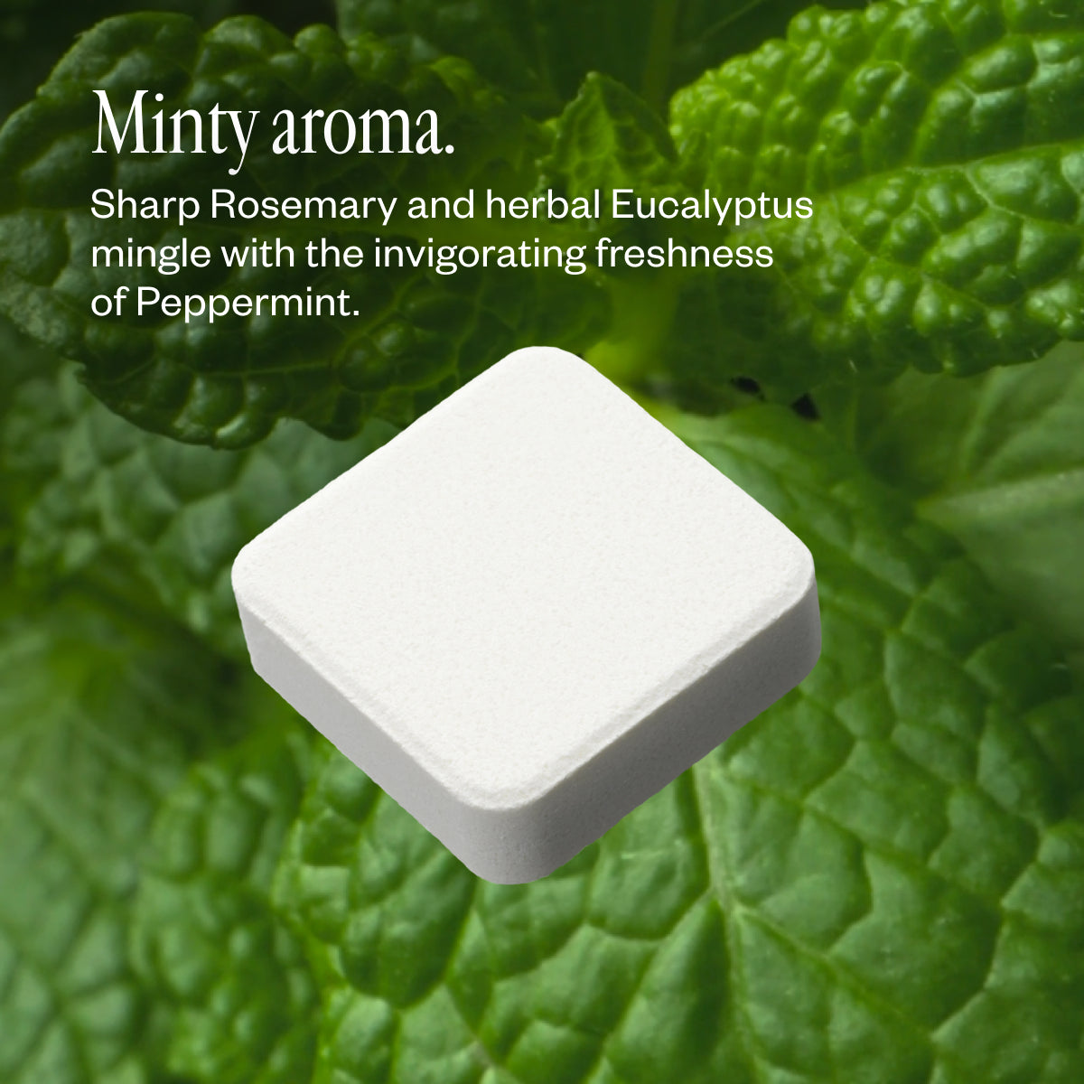 Hello Refreshmint