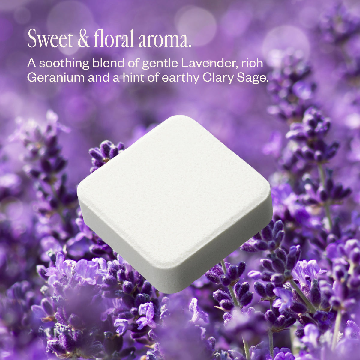 Lavender Lathers