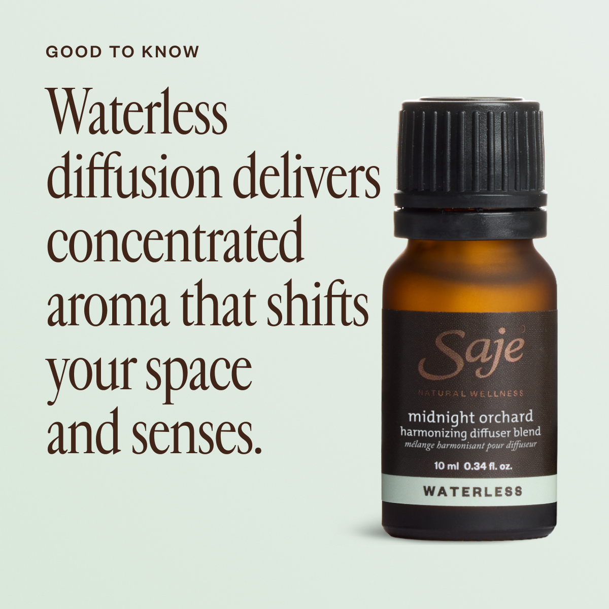 Midnight Orchard Harmonizing Diffuser Blend - Saje Natural Wellness