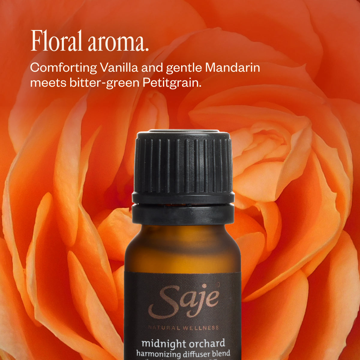 Midnight Orchard Harmonizing Diffuser Blend - Saje Natural Wellness
