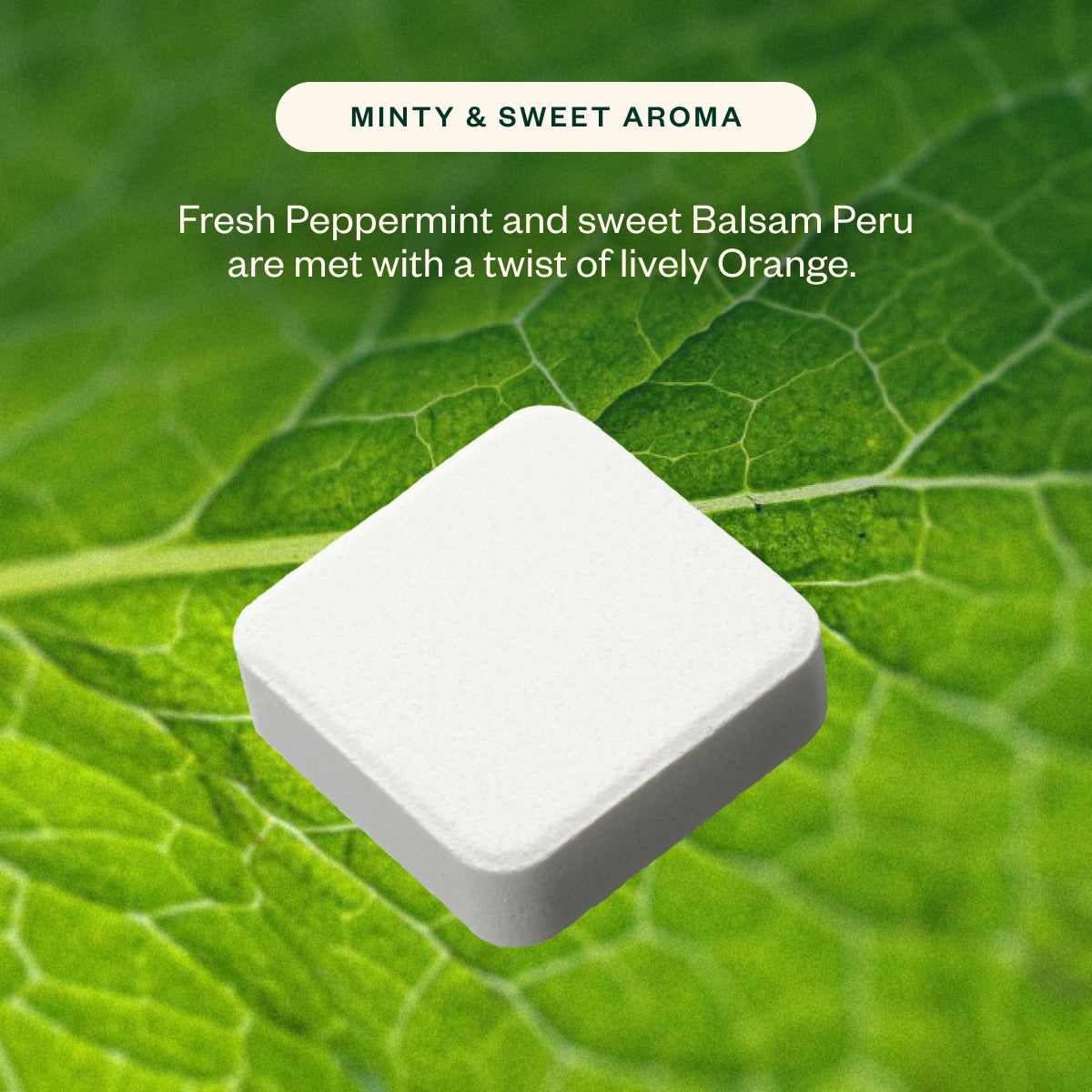 Peppermint Twist Trio