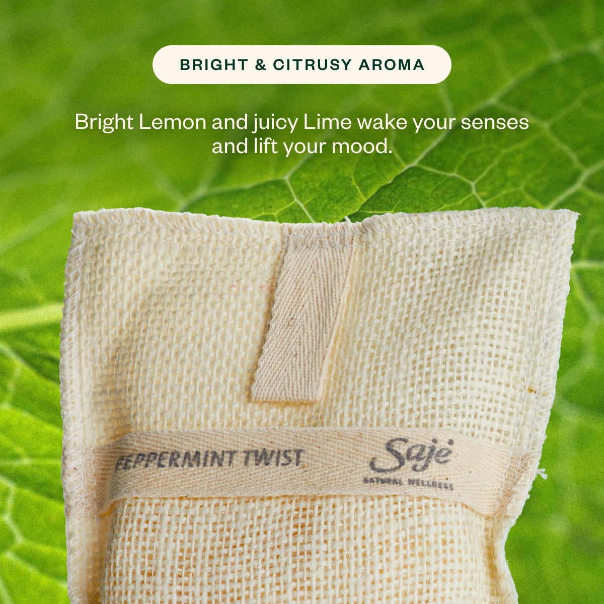 Peppermint Twist Trio