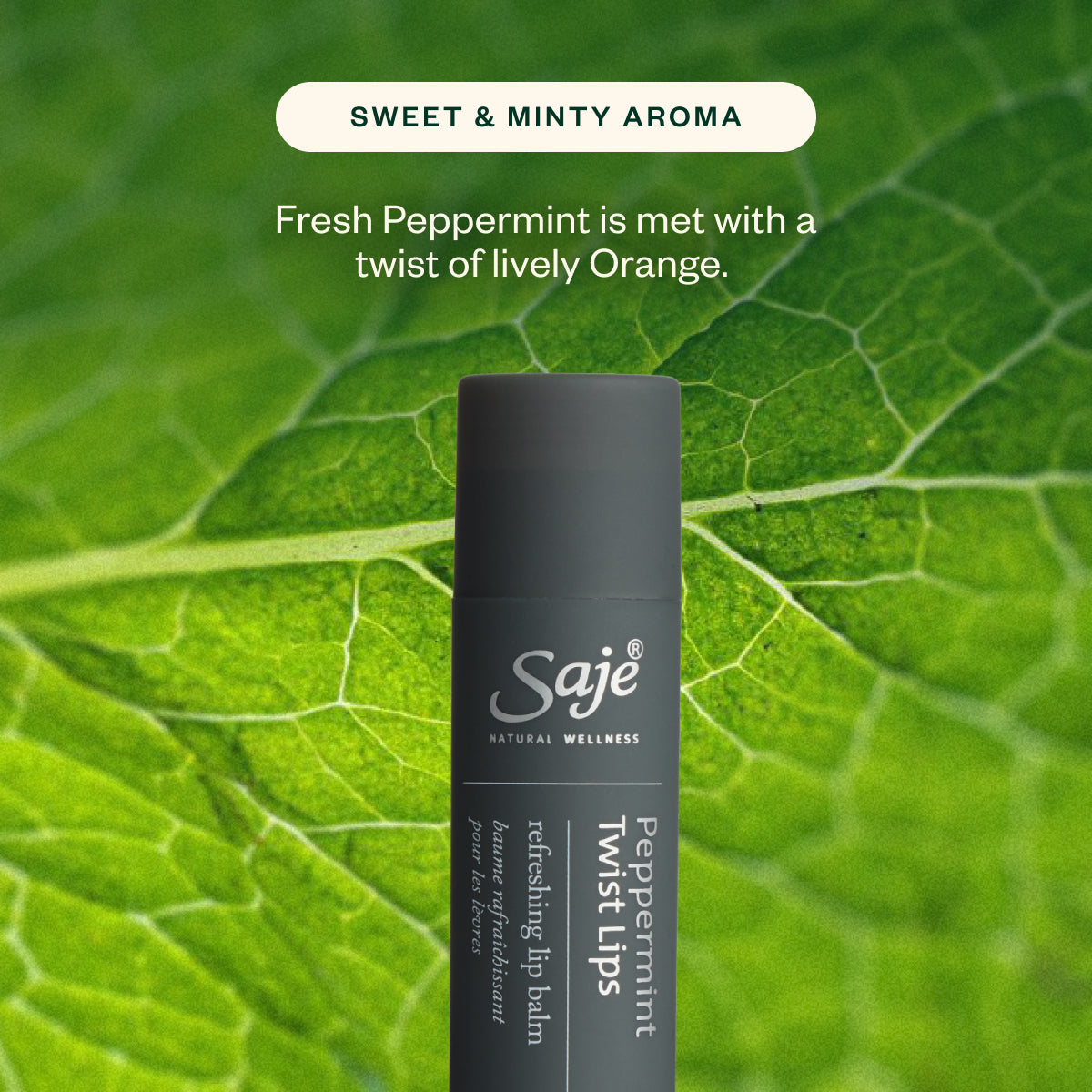 Peppermint Twist Duo