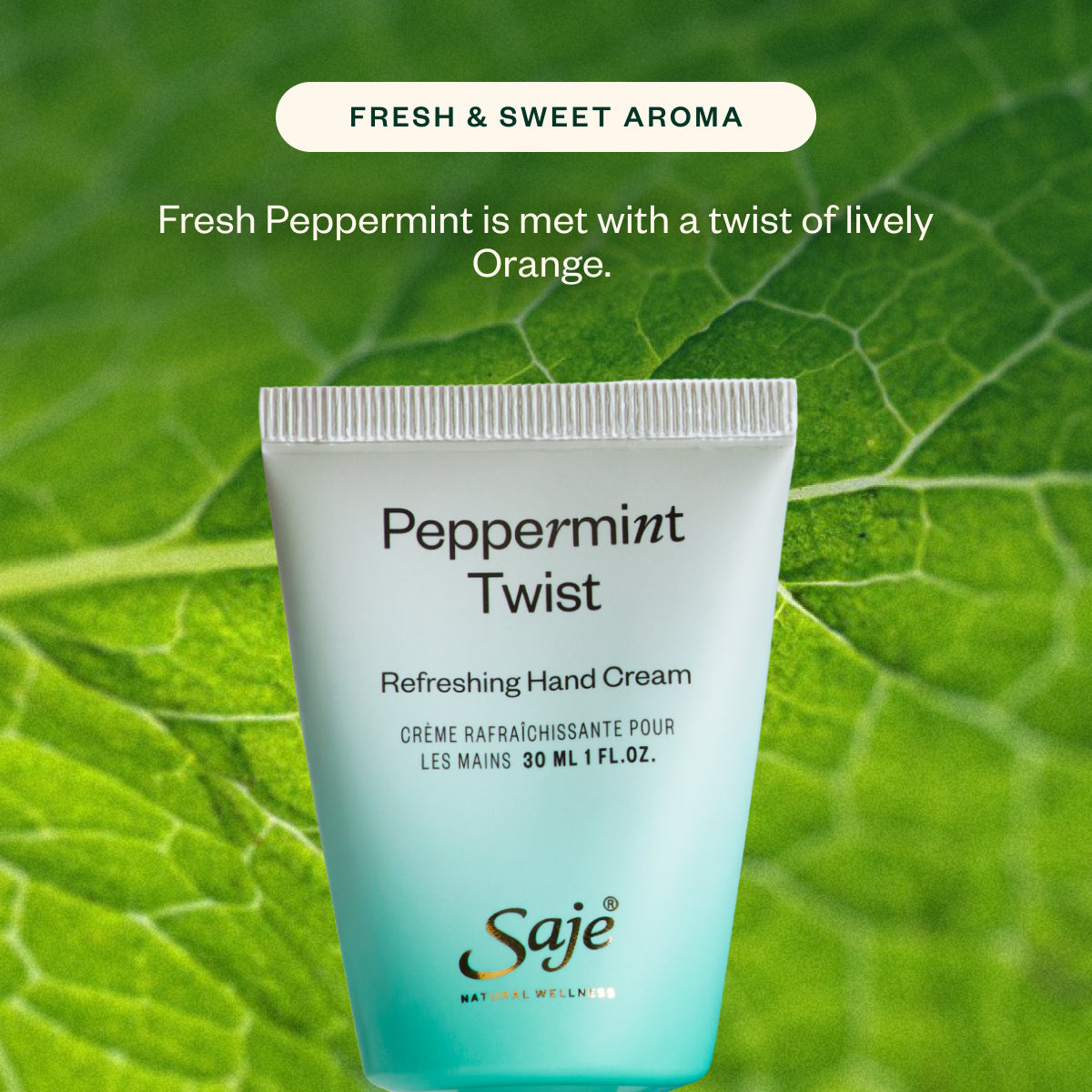 Peppermint Twist Duo