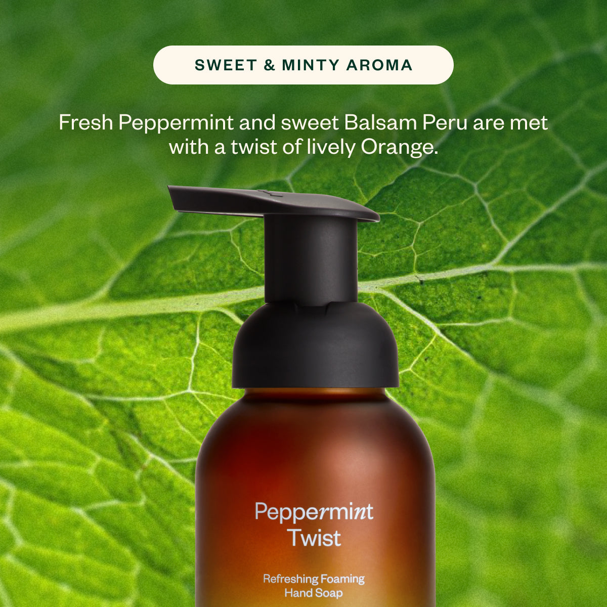 Peppermint Twist Duo