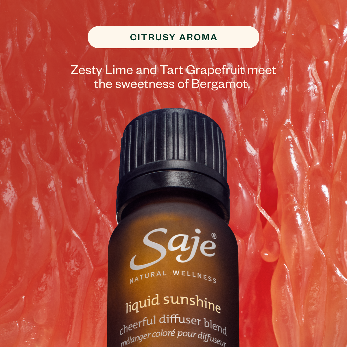 SunShine On Wellness Kit