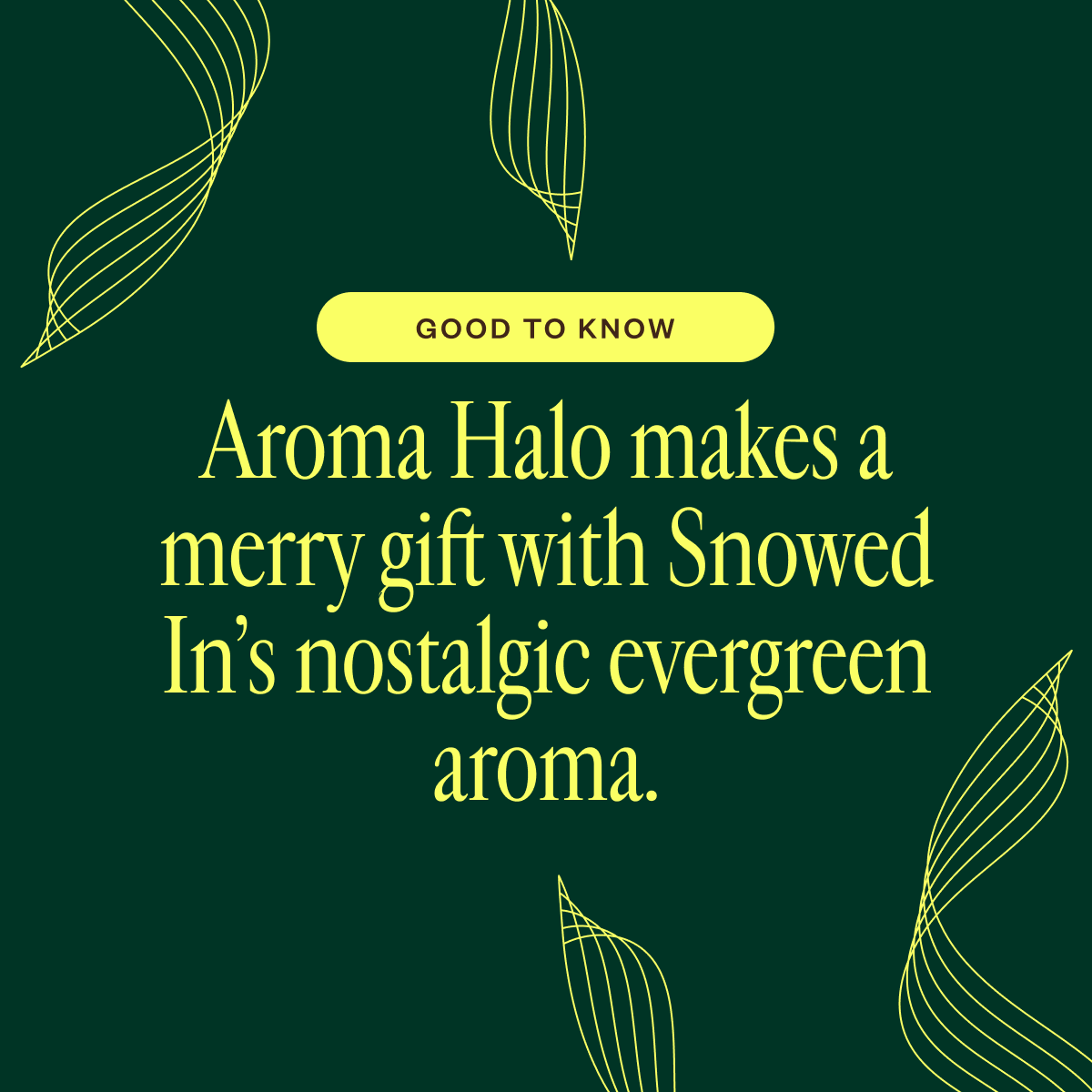Aroma Halo & Snowed In