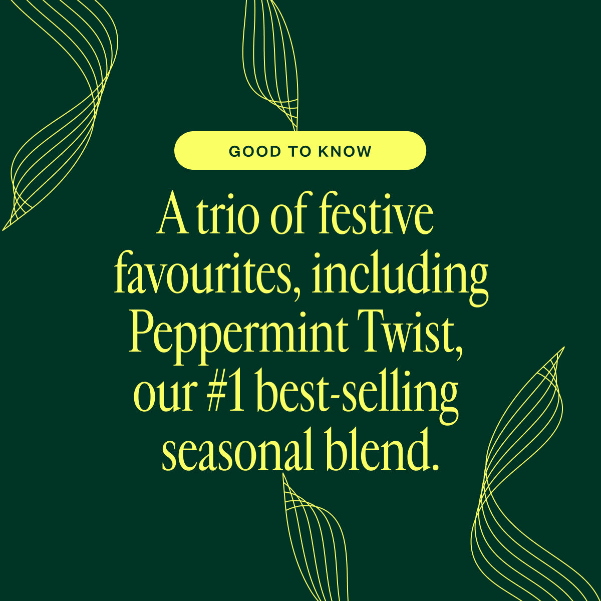 Merry Mint Wellness Kit