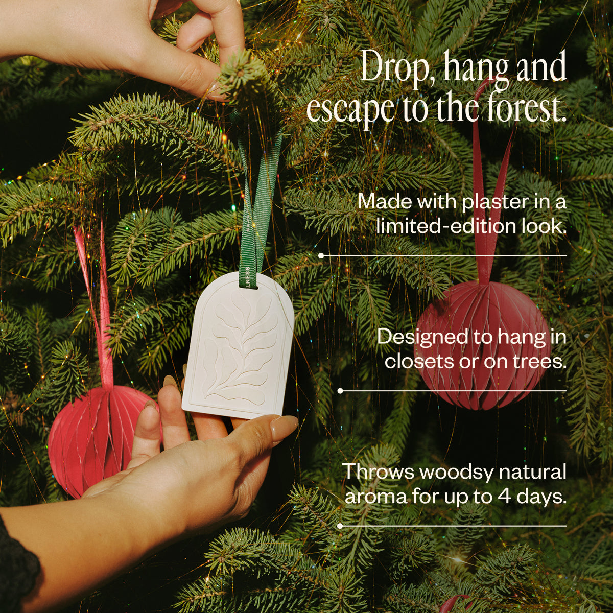 Secret Scenter: Snowed In