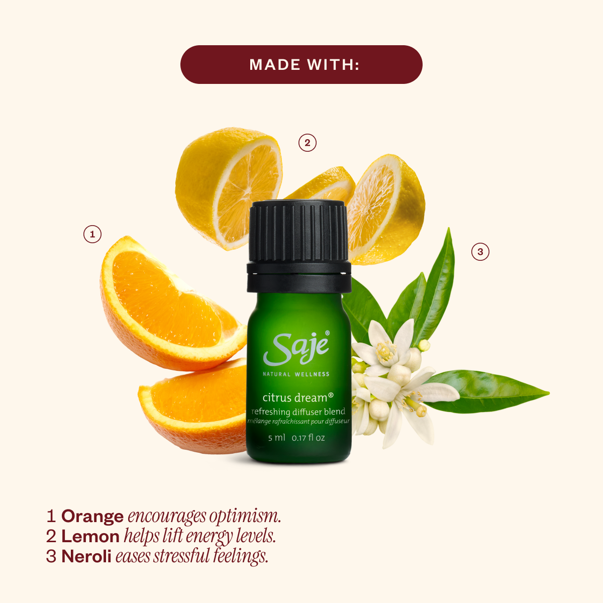 Aroma Lustre & The Season’s Best