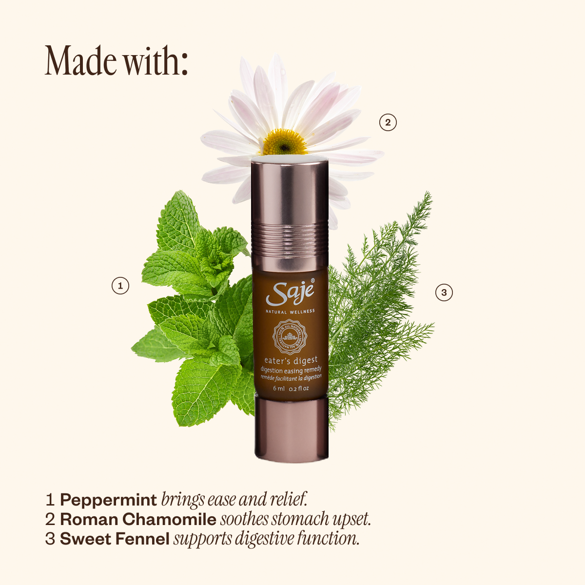 Pocket Farmacy Physical Edition Essential Oil Kit - Saje Natural