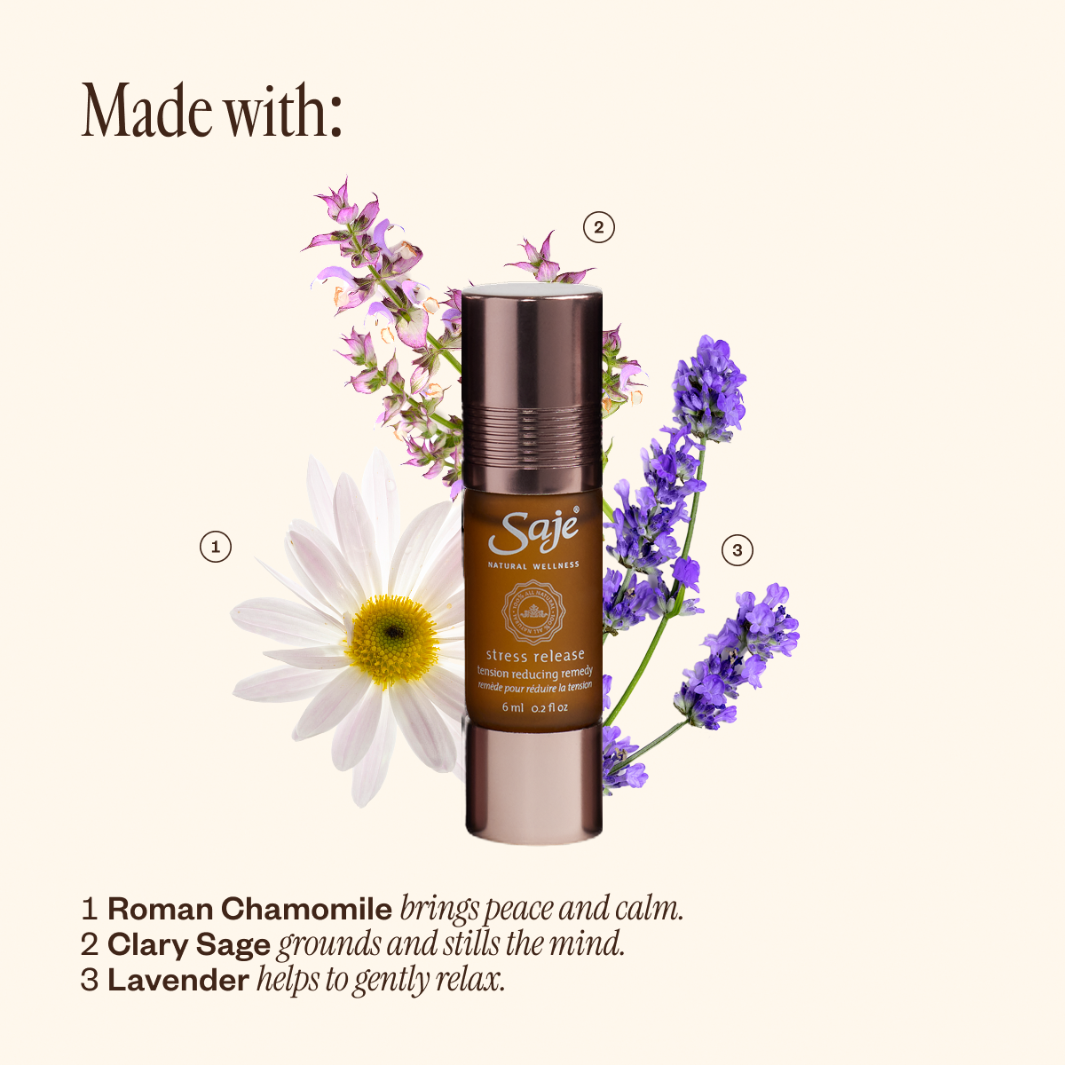 Pocket Farmacy Physical Edition Essential Oil Kit - Saje Natural