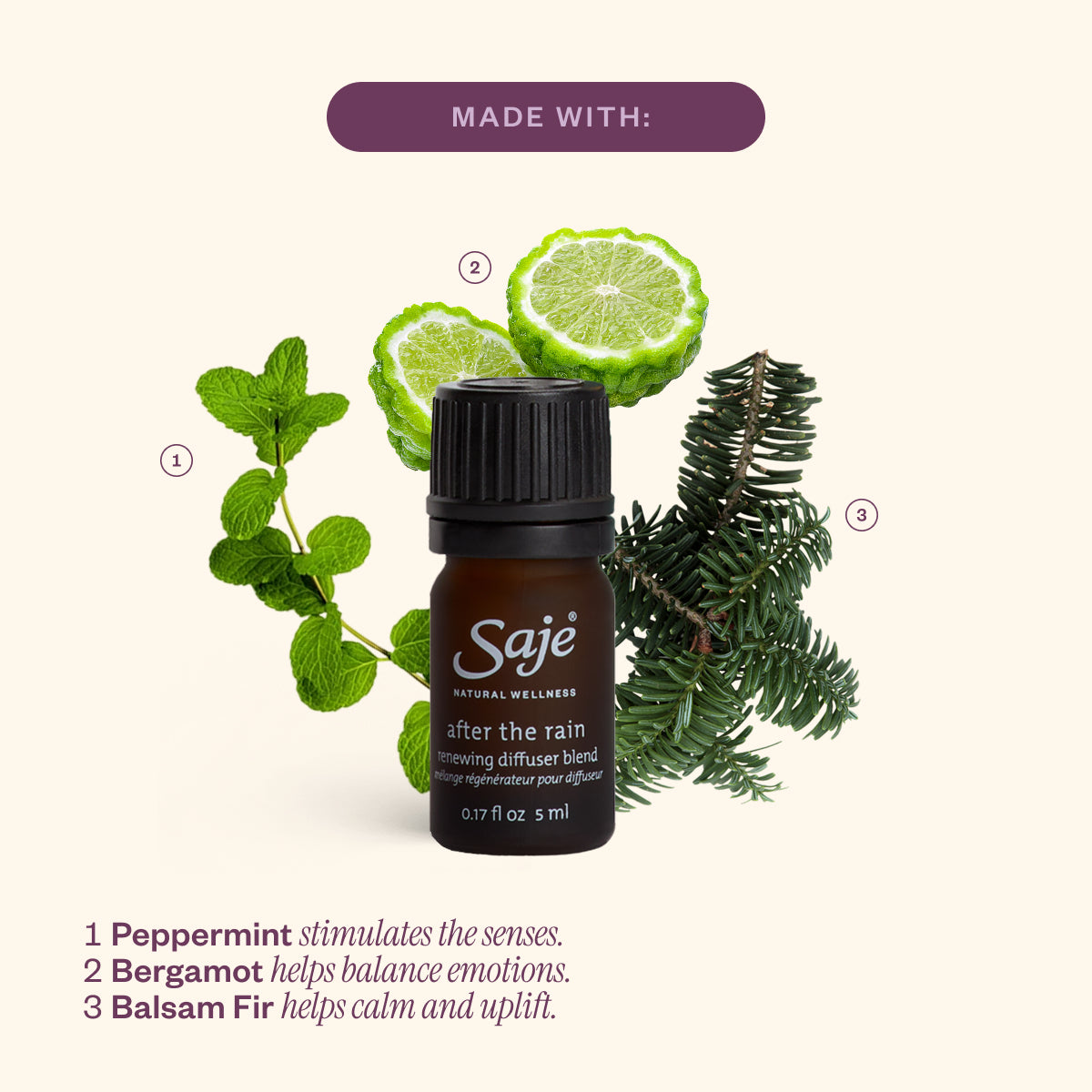 Secret Scenter: After the Rain