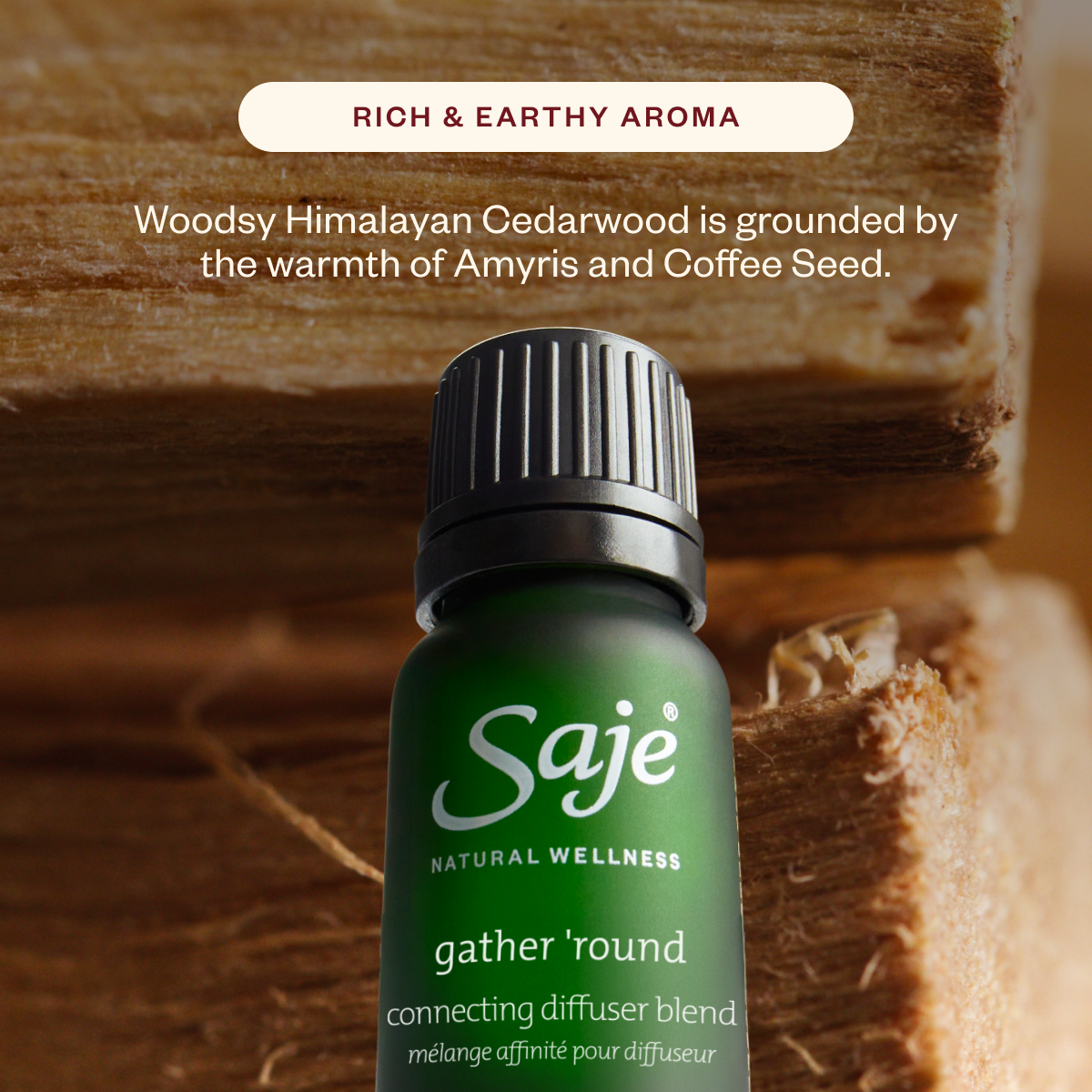 Aroma Lustre & The Season’s Best