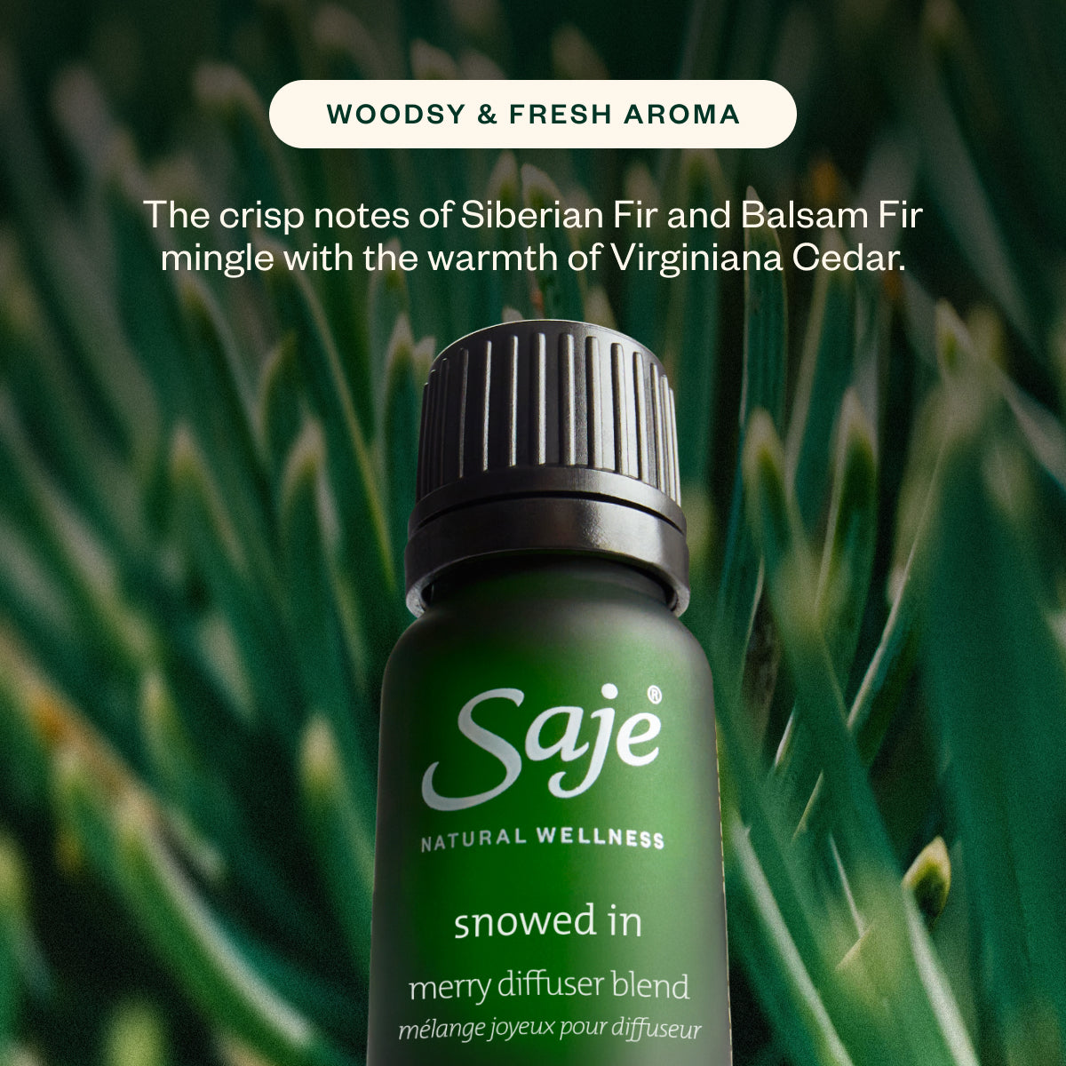 Peppermint Twist, Snowed In and Coming Home