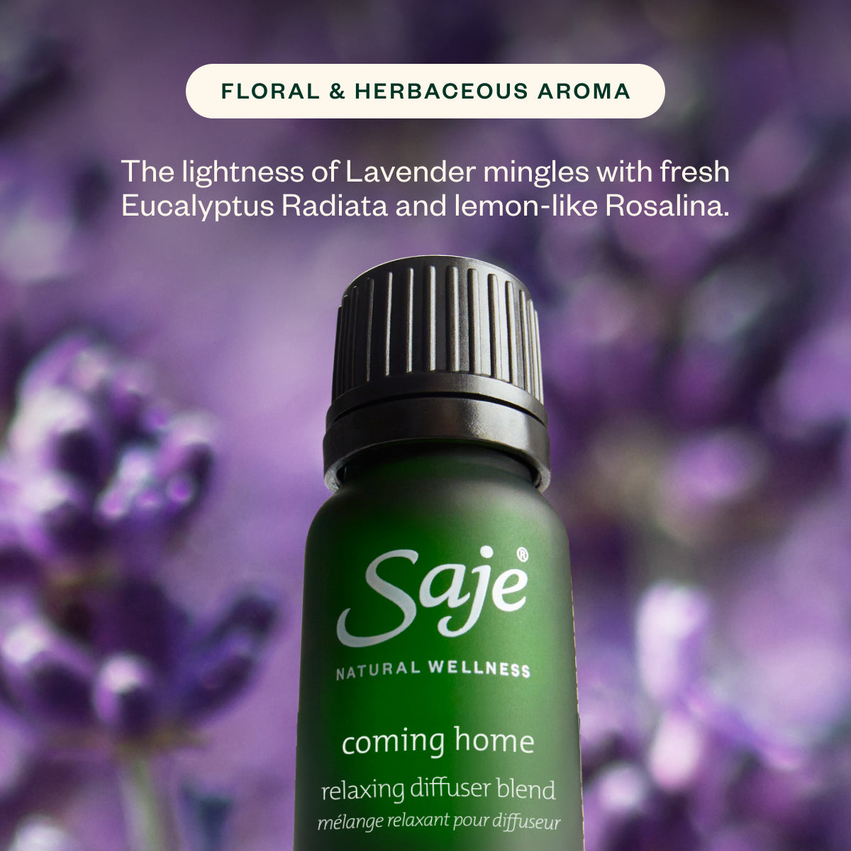 Peppermint Twist, Snowed In and Coming Home