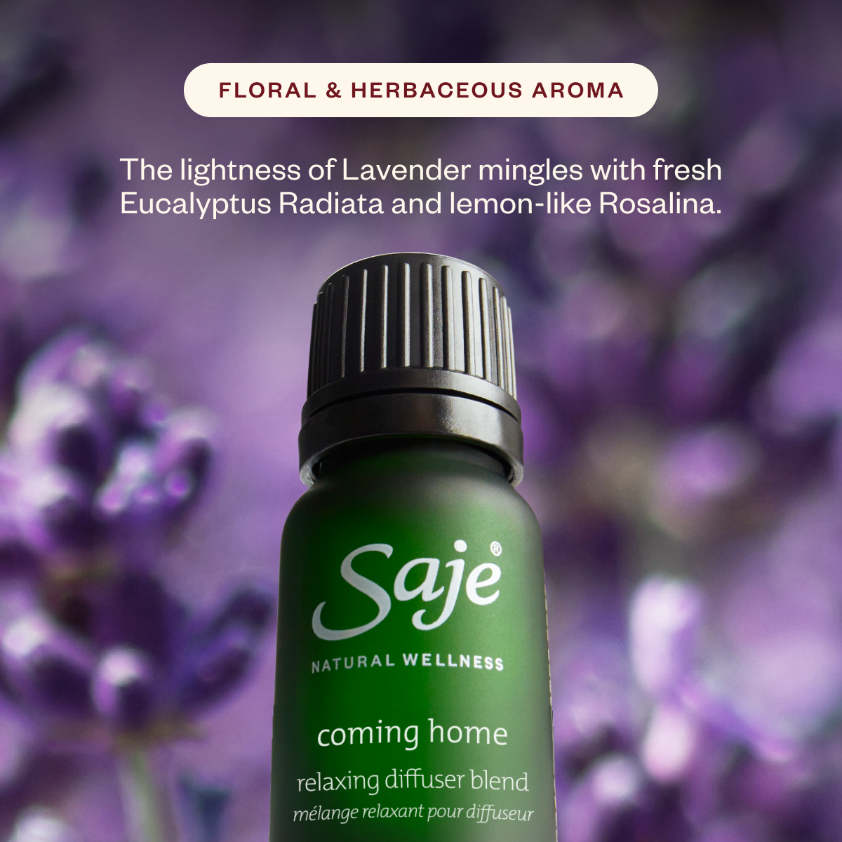 Aroma Lustre & The Season’s Best