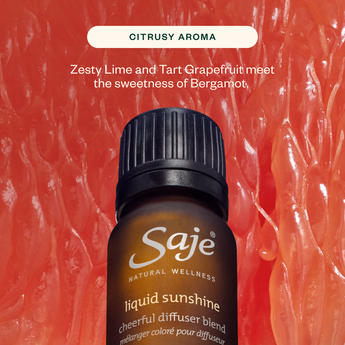 With Love, Saje | White