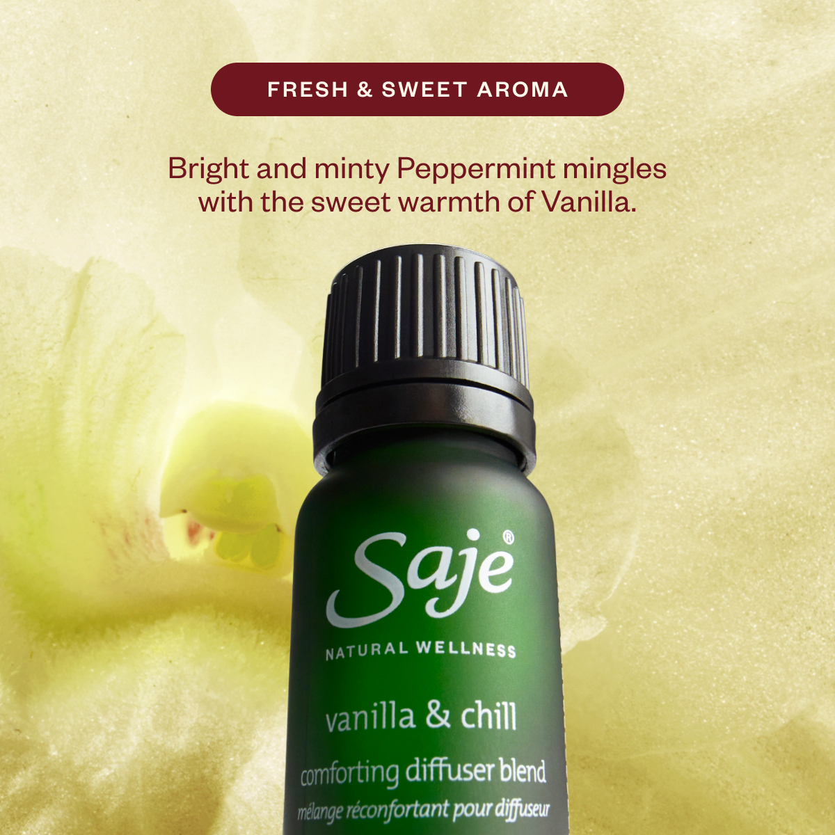 Aroma Lustre & The Season’s Best