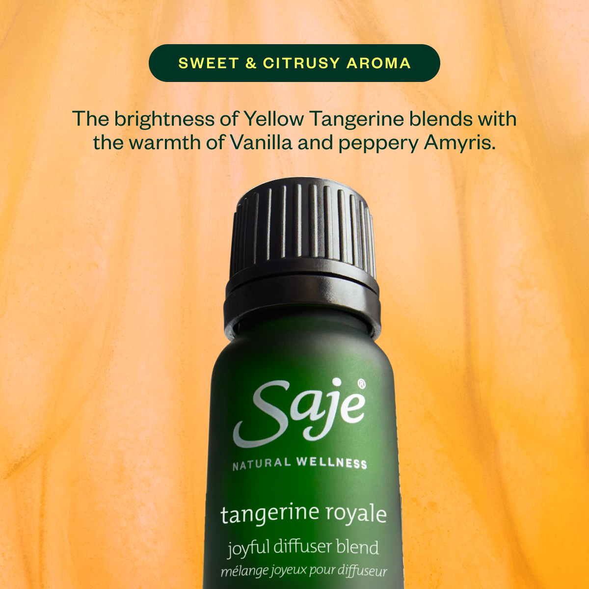 Home for the Holidays Wellness Kit