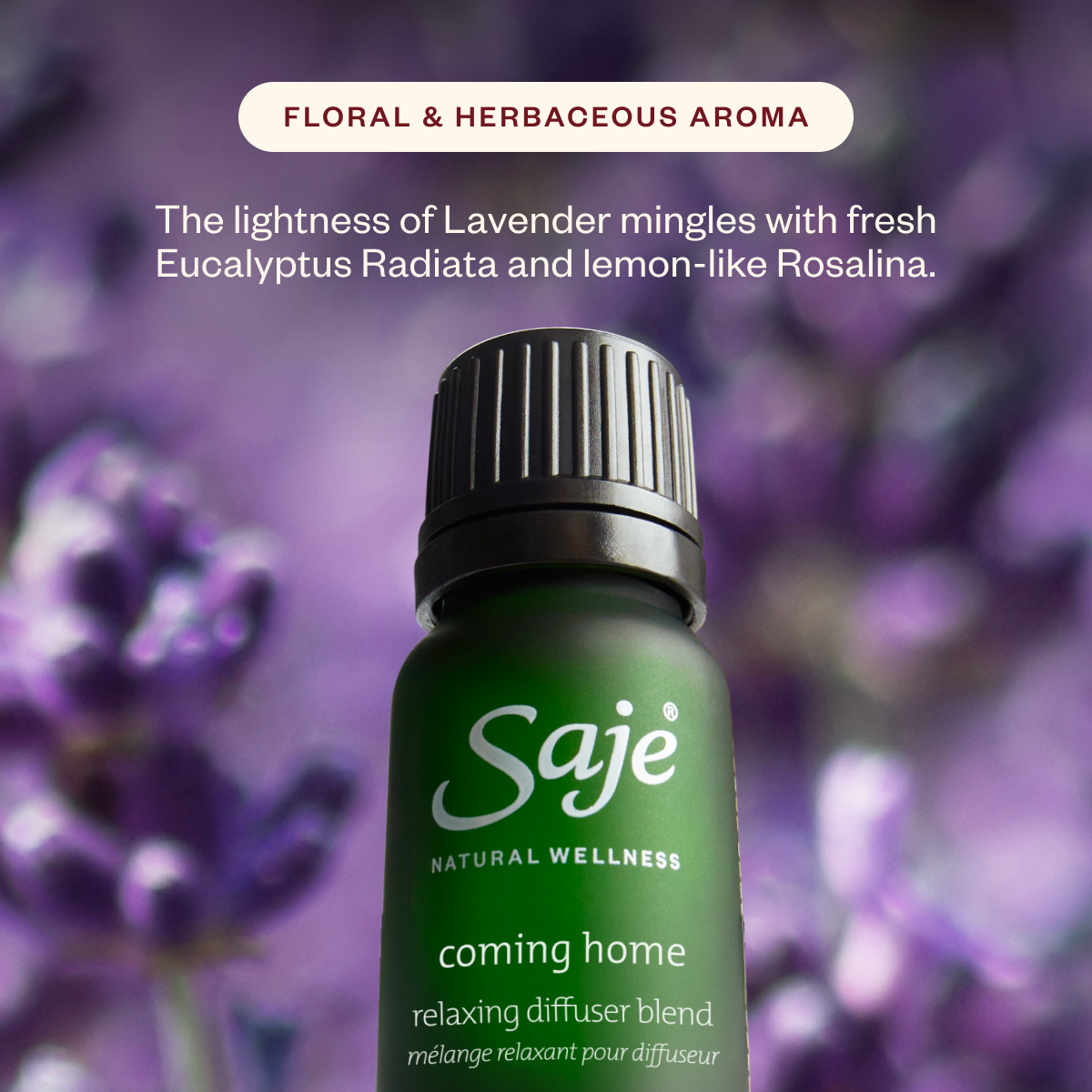 Home for the Holidays