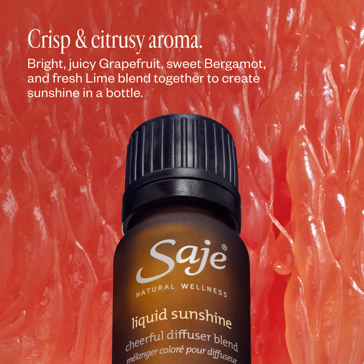 The Best of Saje Bundle Aroma Om Ultrasonic Diffuser, Liquid