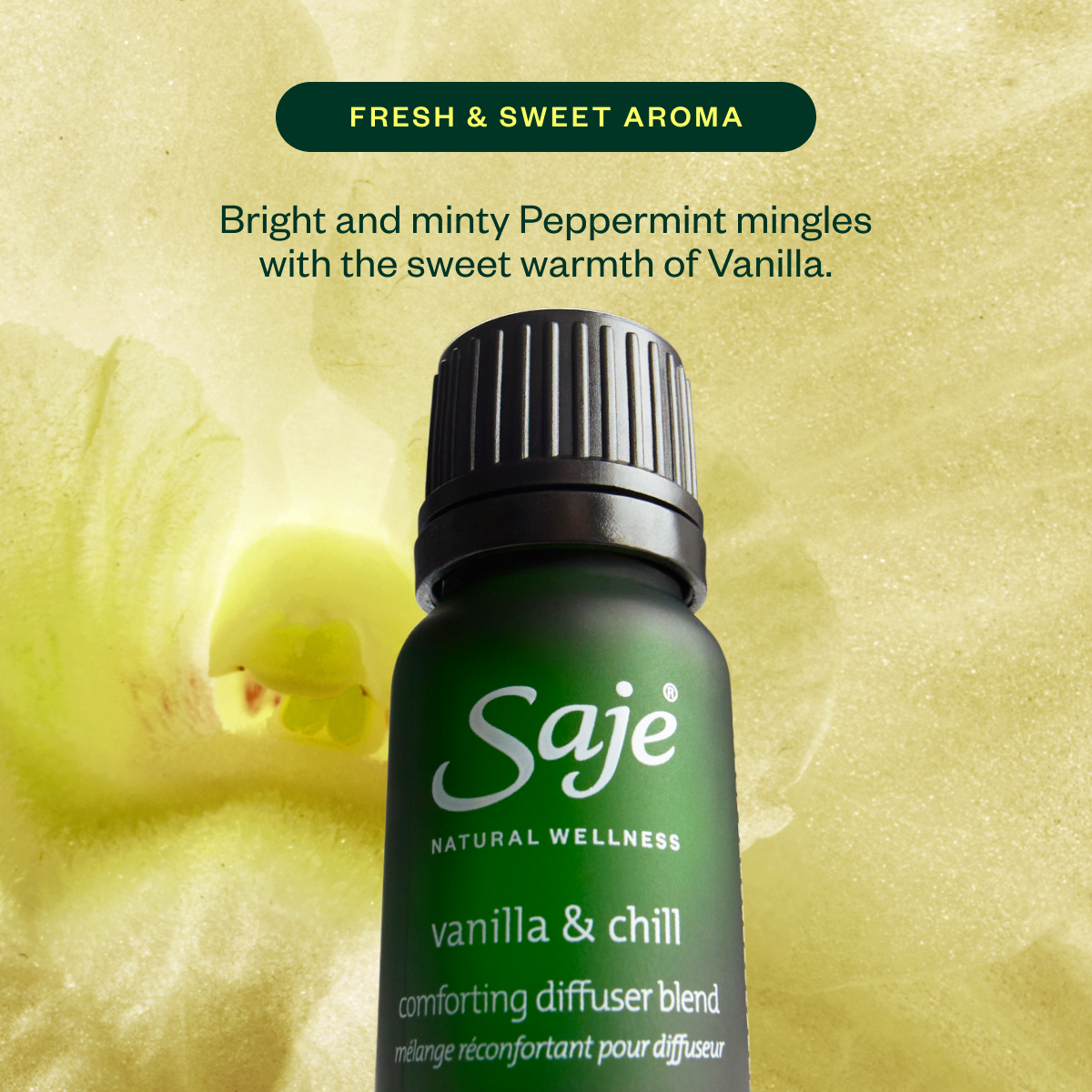 Home for the Holidays Wellness Kit