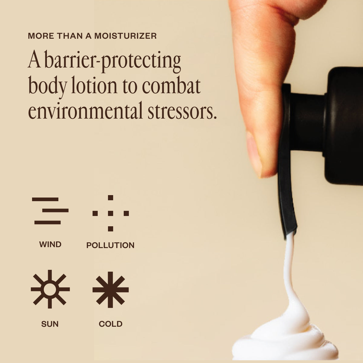 Dermedial™ Carrot+ Lotion - Saje Natural Wellness