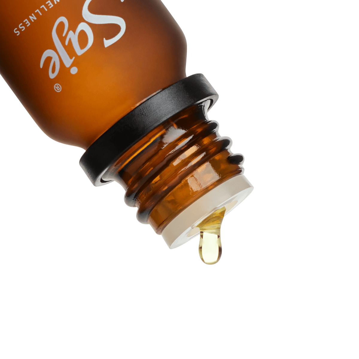 Soak Up the Sun | Stone Citrus Bliss Diffuser Bundle - Saje
