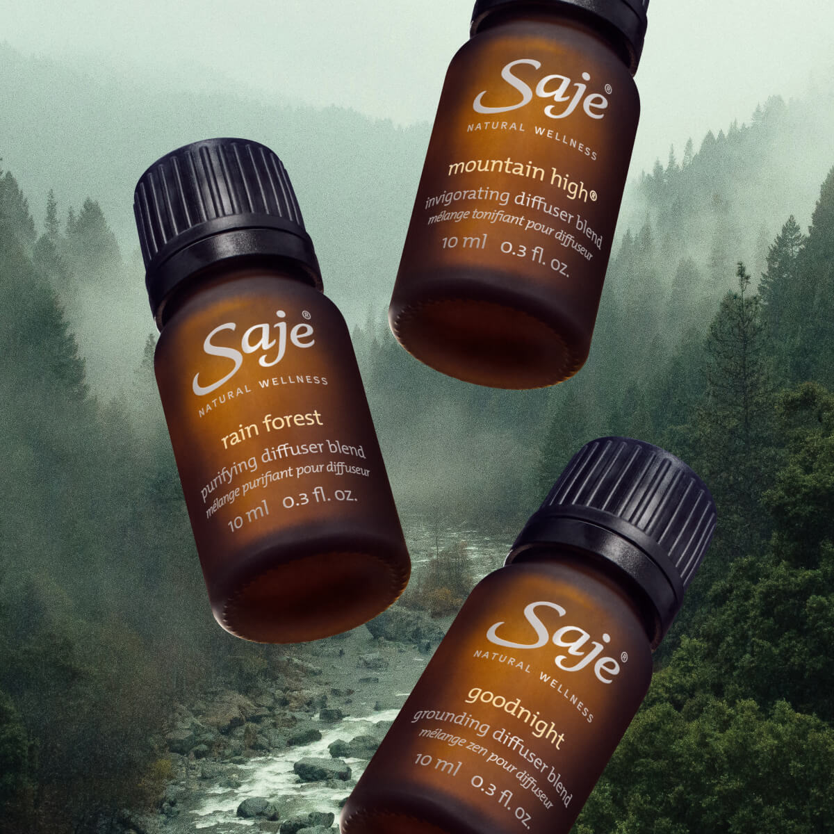 Into the Woods | Stone Forest Retreat Diffuser Bundle - Saje
