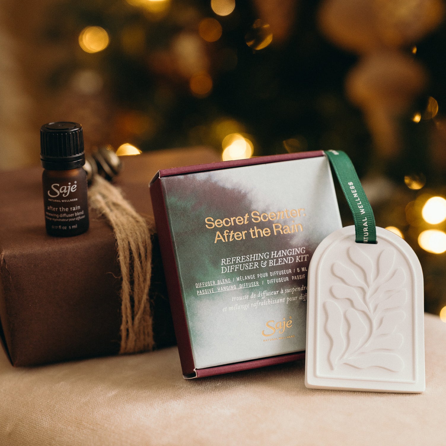 Secret Scenter: After the Rain