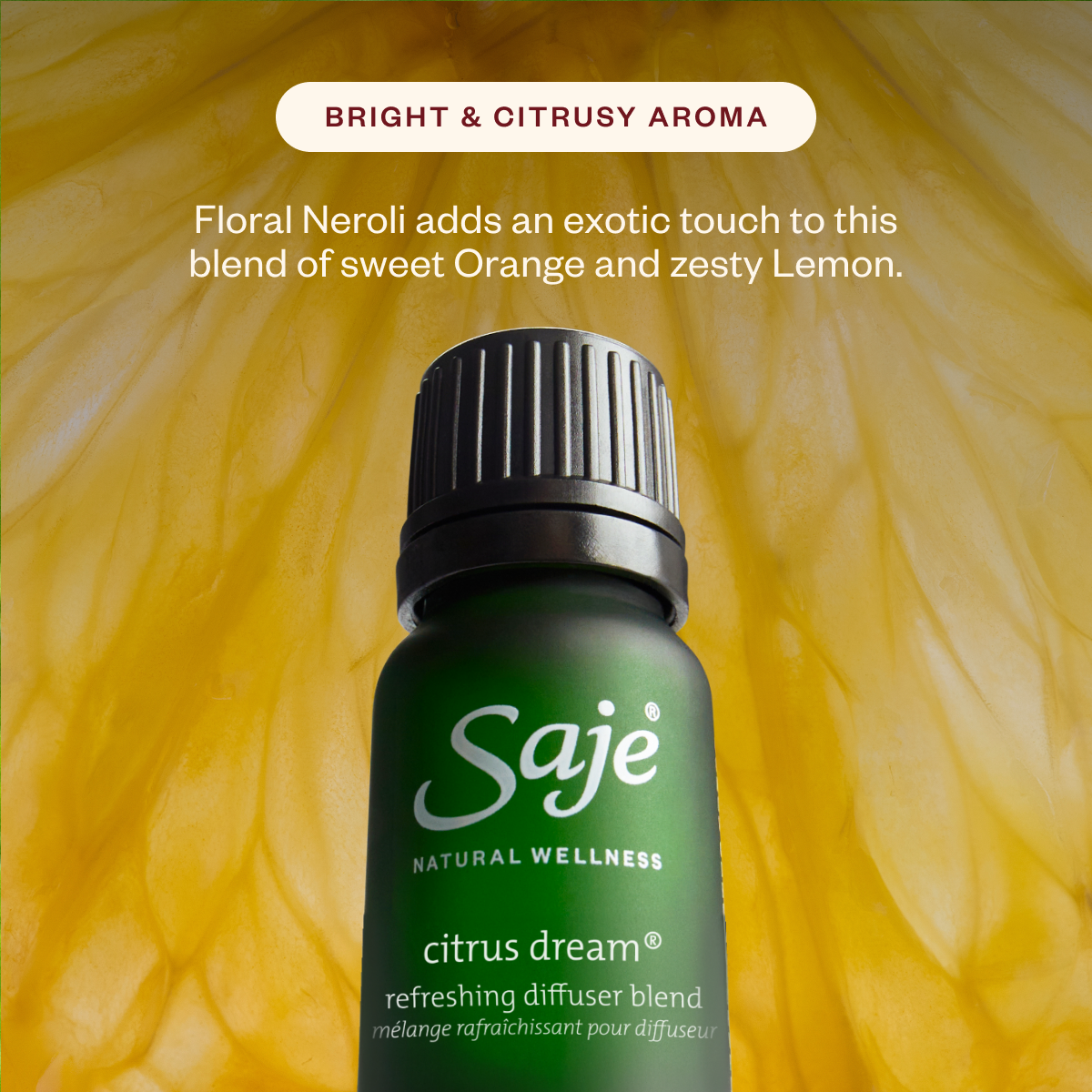 Aroma Lustre & The Season’s Best