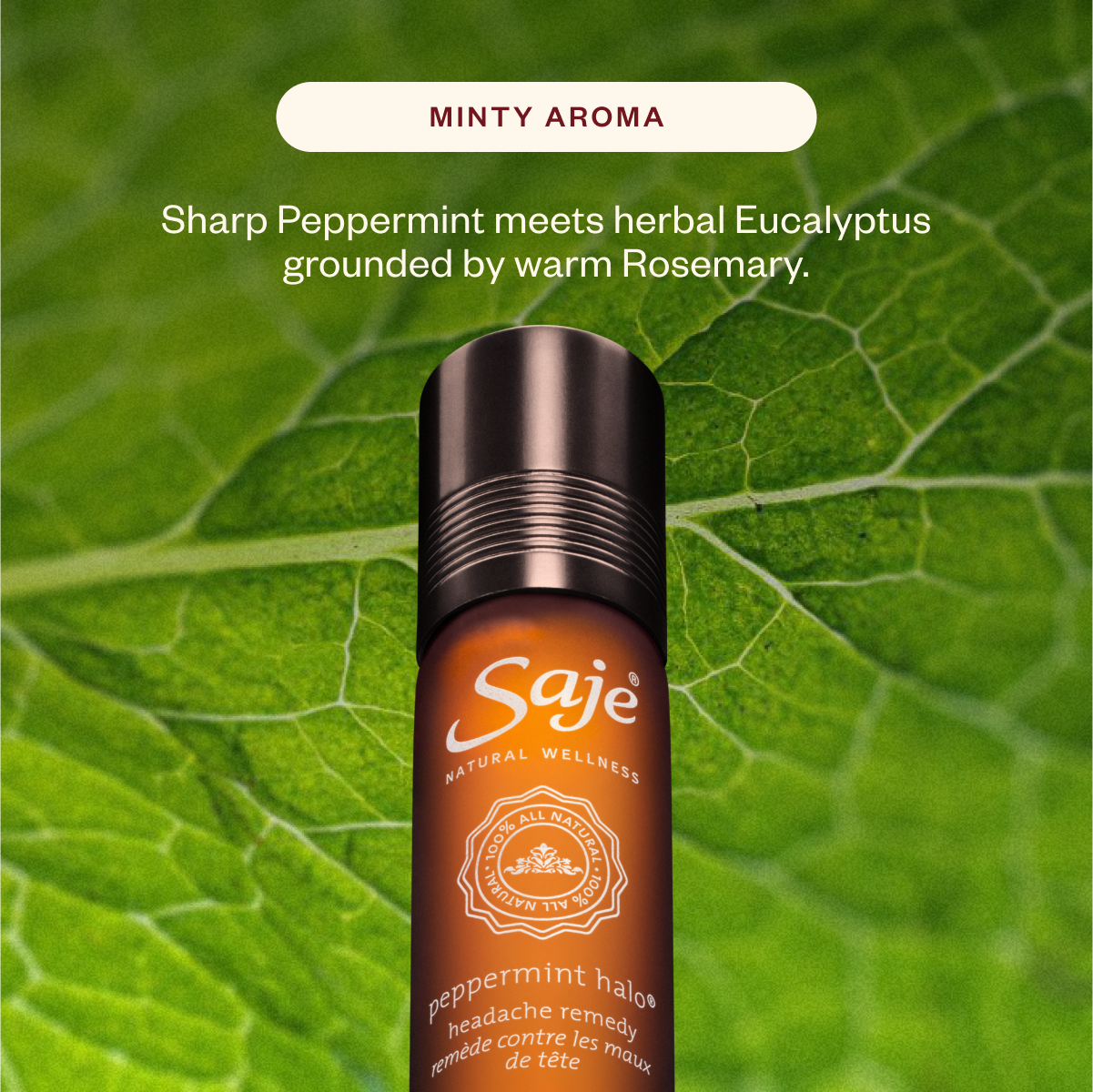 Eat, Drink & Be Merry