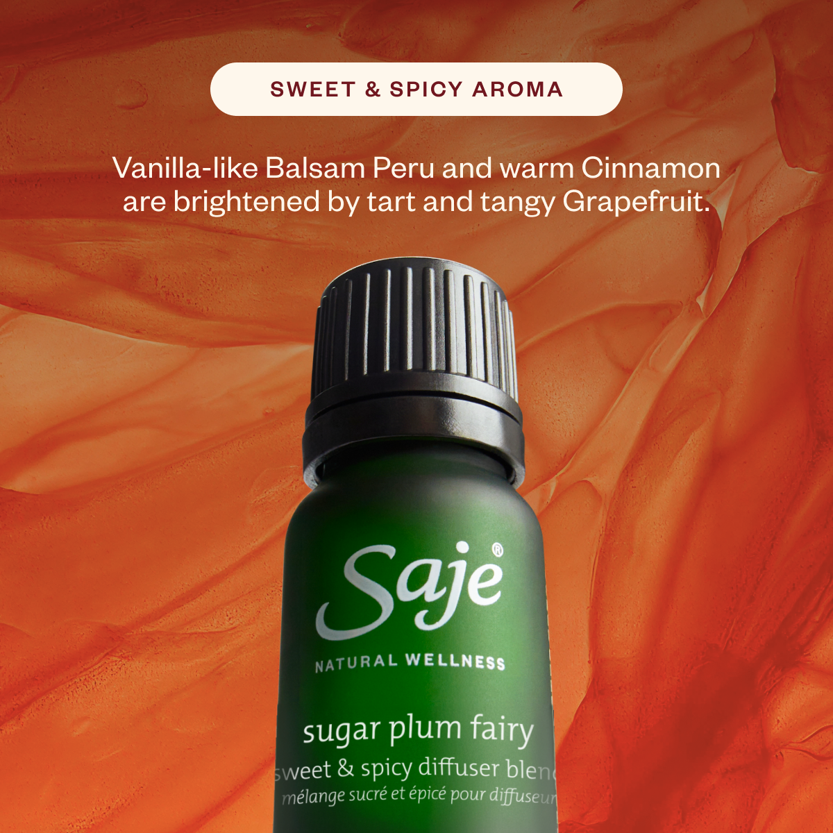 Aroma Lustre & The Season’s Best