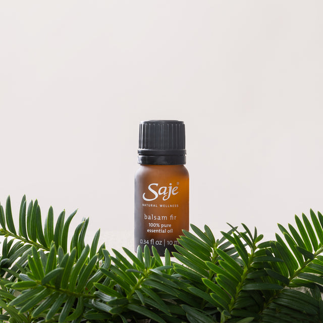Balsam Fir single note essential oil with fir
